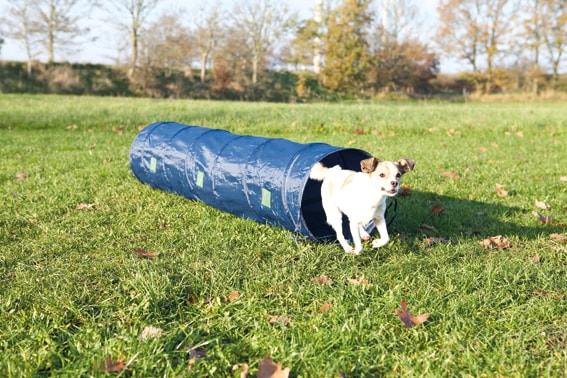 Tunnel liten 40x200cm