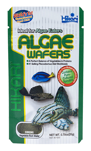 Hikari Algae wafers 20g