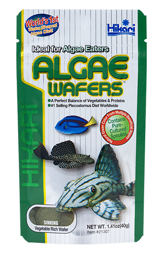 Hikari Algae wafers 40g