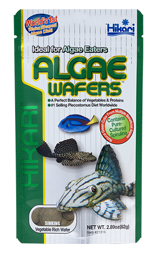 Hikari Algae wafers 82g