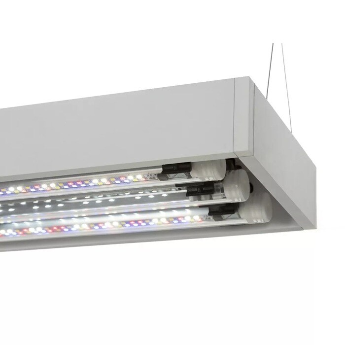 AquaEL Ultrascape 60 inkl bänk Snow Set