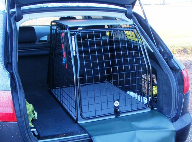 Artfex bilbur Medium Bred