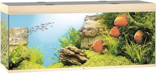 Juwel Rio 450 LED Akvarium Ek