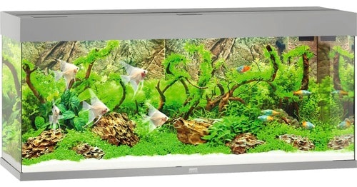 Juwel Rio 240 LED Akvarium Grå