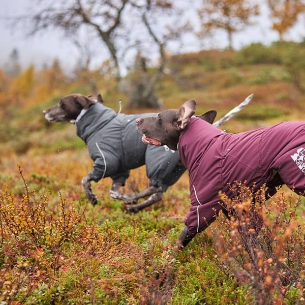 Hurtta Extreme Overall Blackberry