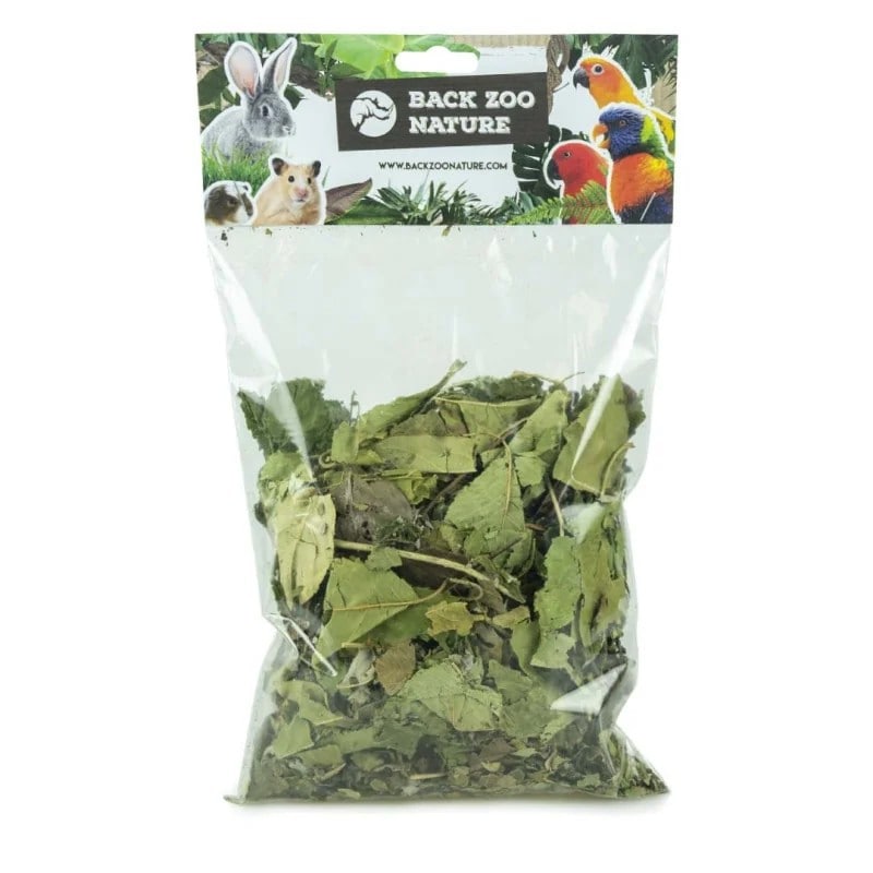 BZN Discovery Leaves Orchard 80g