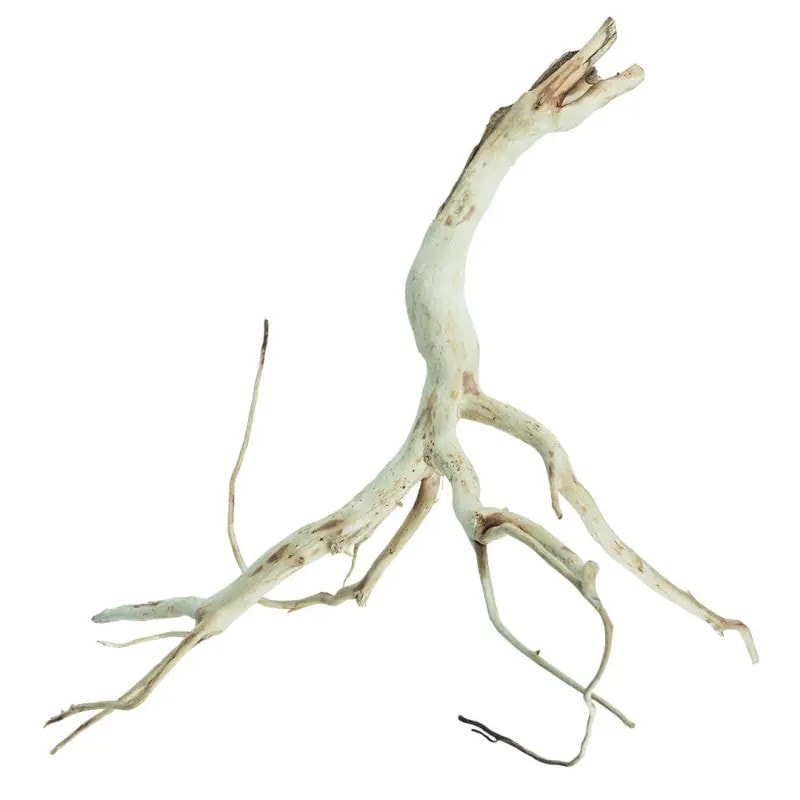 BZN Spiderwood Large