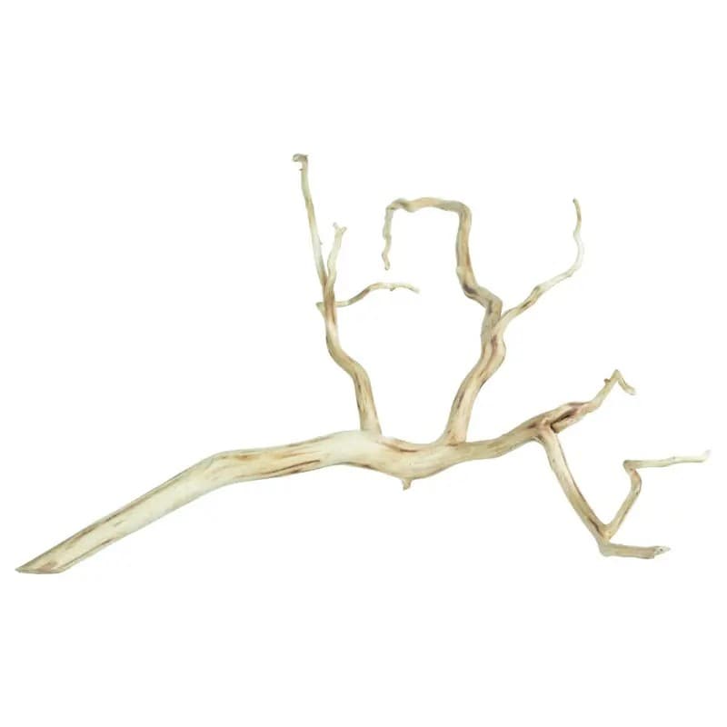 BZN Spiderwood Medium