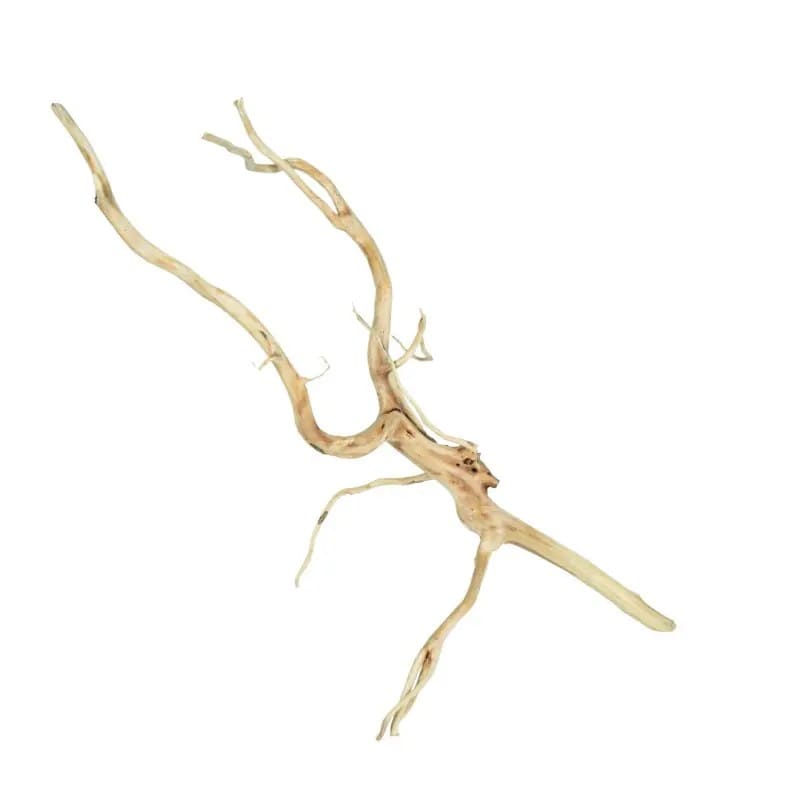 BZN Spiderwood Small
