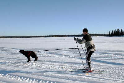 Draglina svart 240-290cm - 2