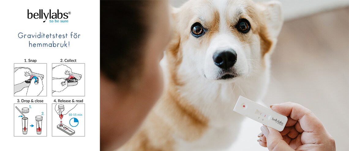 Bellylabs dräktighetstest - 2