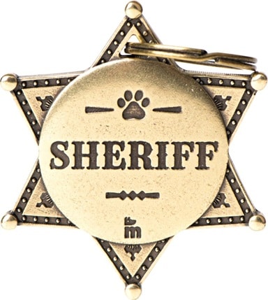 ID-bricka Bronx Sheriff Stjärna