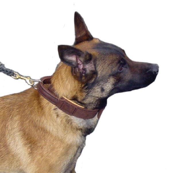 Hetshalsband Junior flera storlekar - 2