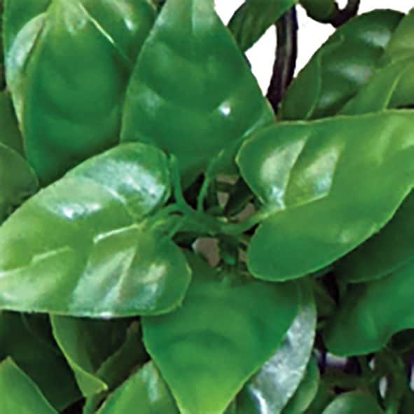 Konstväxt slingerväxt Philodendron, flera längder - 2