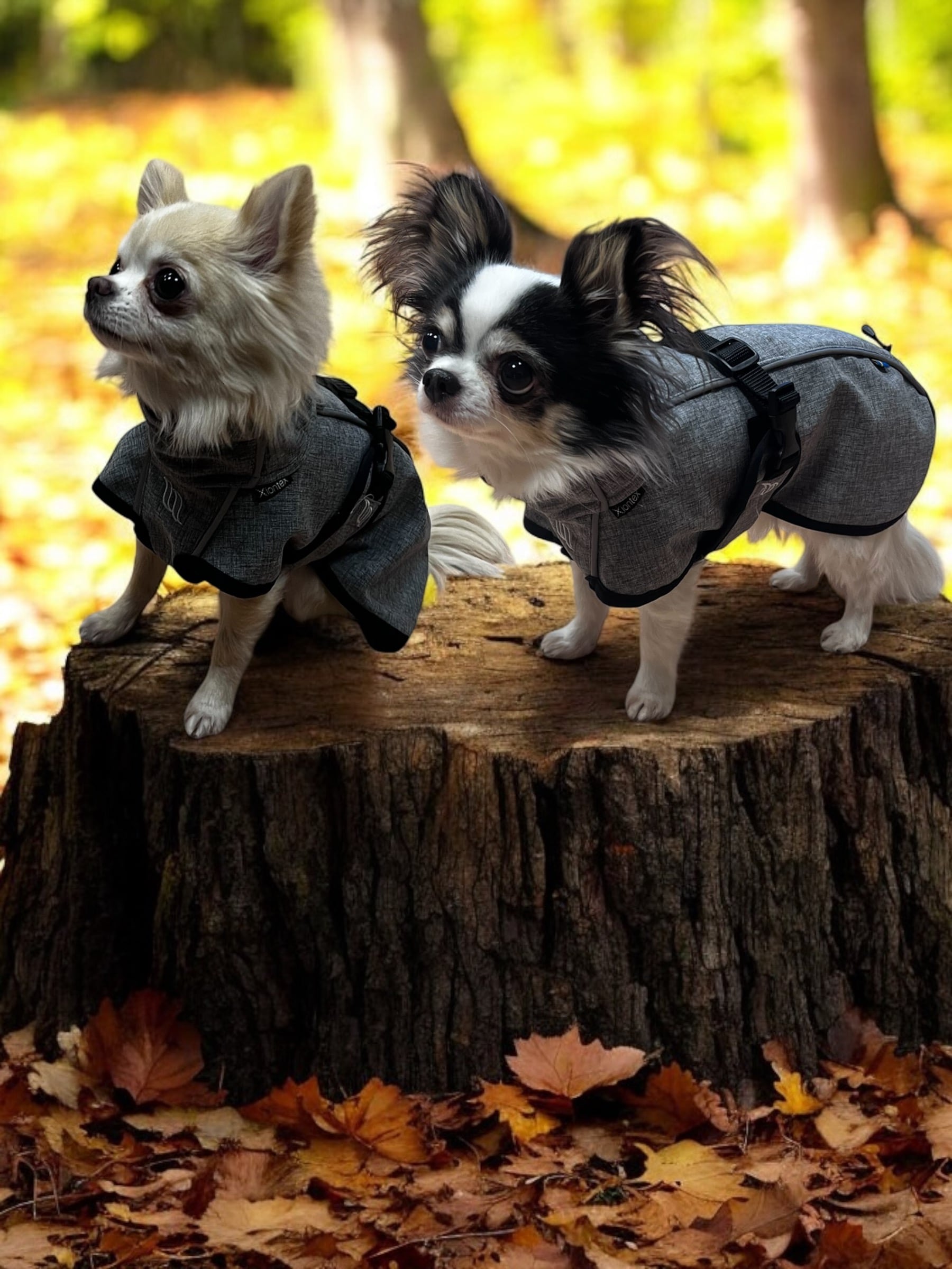 Back on Track Täcke Bark  - 2