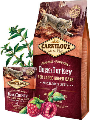Carnilove Large Breed Duck/turkey 2kg