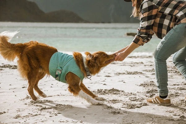 Hurtta Cooling Wrap Blå, olika storlekar - 2