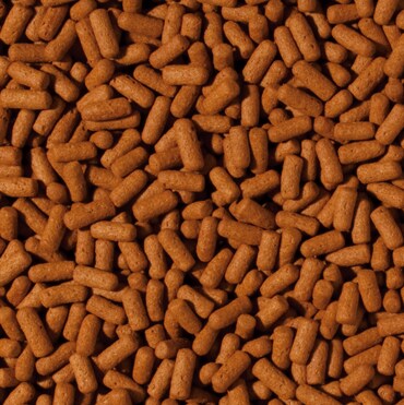 Tropical Cichlid & Arowana Sticks Large 1000ml - 2