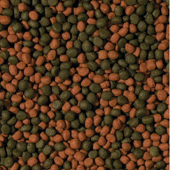 Tropical Cichlid Omnivore Medium Pellet 1000ml - 2