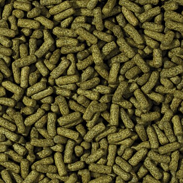 Tropical Cichlid Spirulina Large Sticks 1000ml - 2