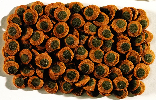 Tetra Pleco Spirulina wafers 250ml - 2