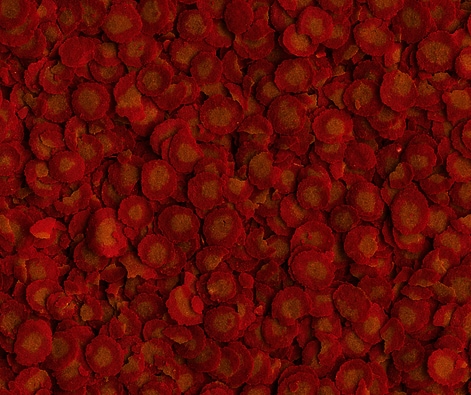 Tetra Pro Goldfish Crisps 250ml - 2