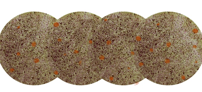 Tetra Holiday Menu 30g - 2