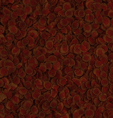 Tetra Pro Colour 250ml - 2