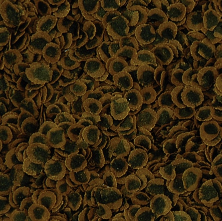 Tetra Pro Algae 500ml - 2