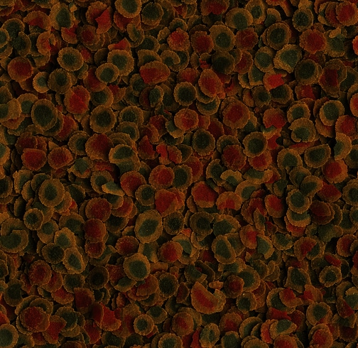 Tetra Pro Energy 100ml/20g - 2