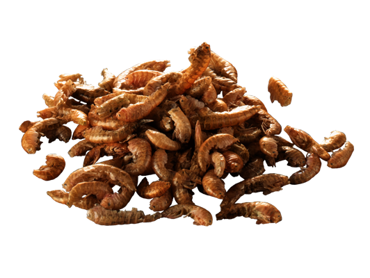 Tetra Reptomin 3in1 Menu 250ml