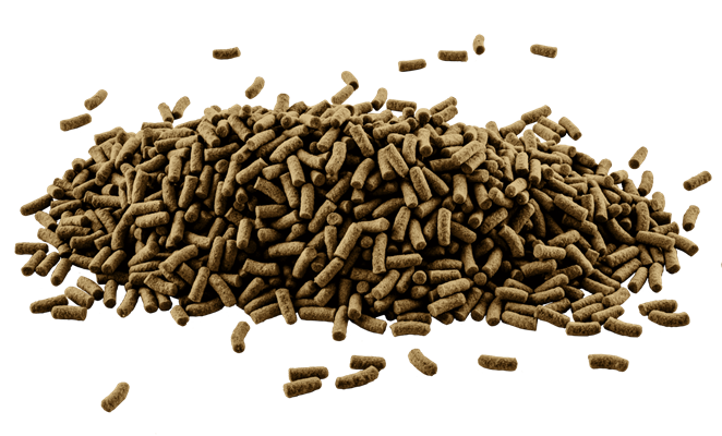 Tetra Reptomin 3in1 Menu 250ml