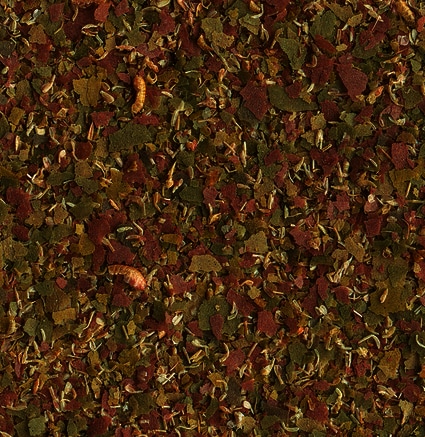 Tetra Delica Menu 100ml, flera foder i en burk - 2