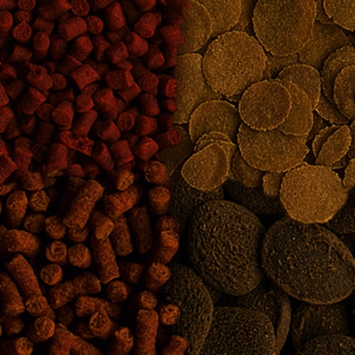 Tetra CrustaMeny 100ml - 2