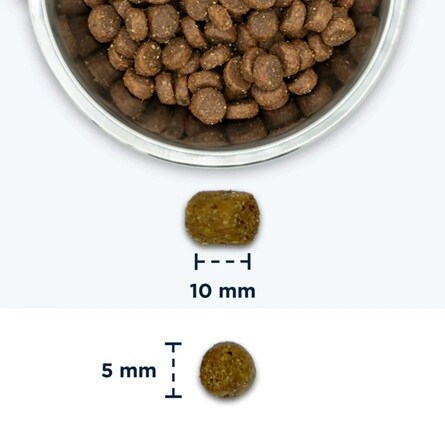 Eukanuba Cat Adult 1+ 2kg - 2