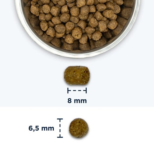 Eukanuba Cat Adult hairball 2kg - 2