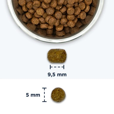 Eukanuba Cat Senior 2kg - 2