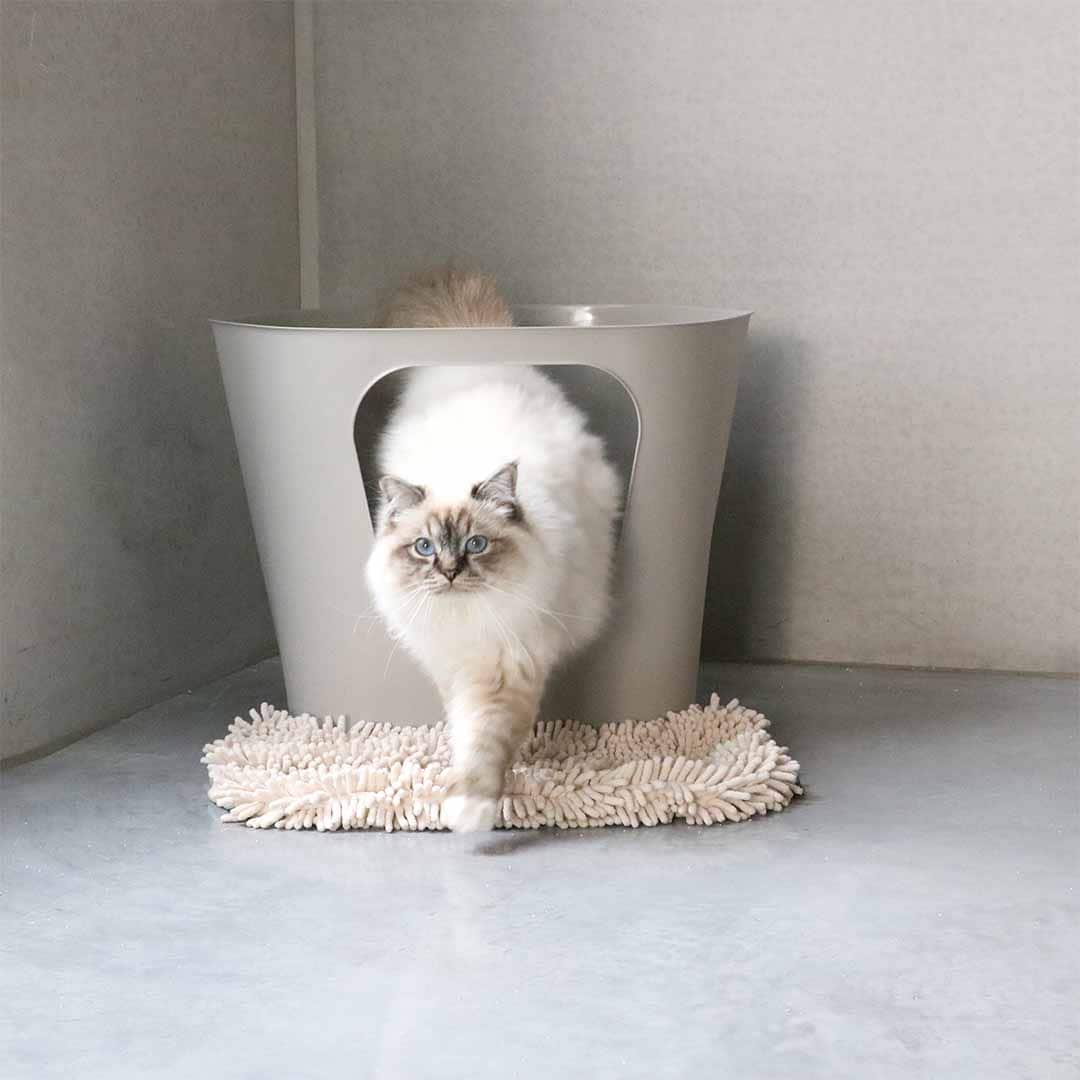 ILHC Kattlåda dean grå