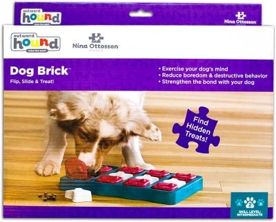 Dog Brick (Nivå 2) - 2