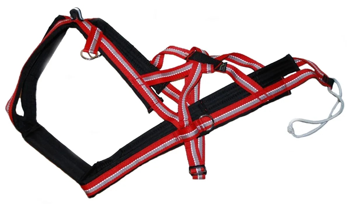 Dragråttan Nomesele Combisele