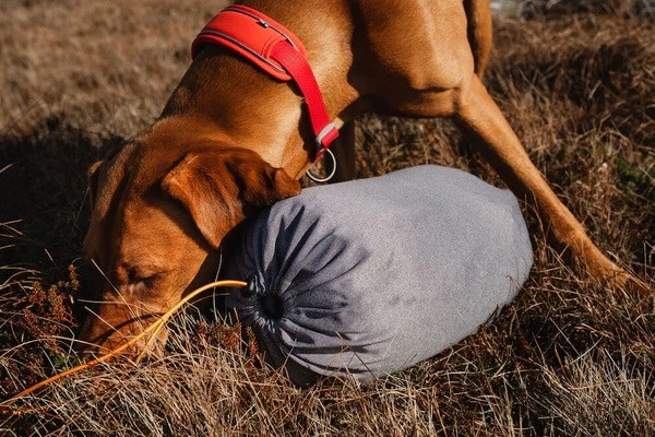 Hurtta Outback Dreamer Sovsäck Eco Large - 2