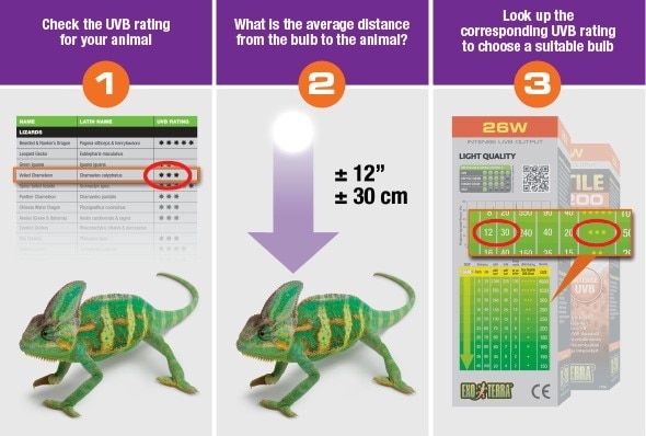 Repti-glo UVB 100 för regnskogslevande - 2