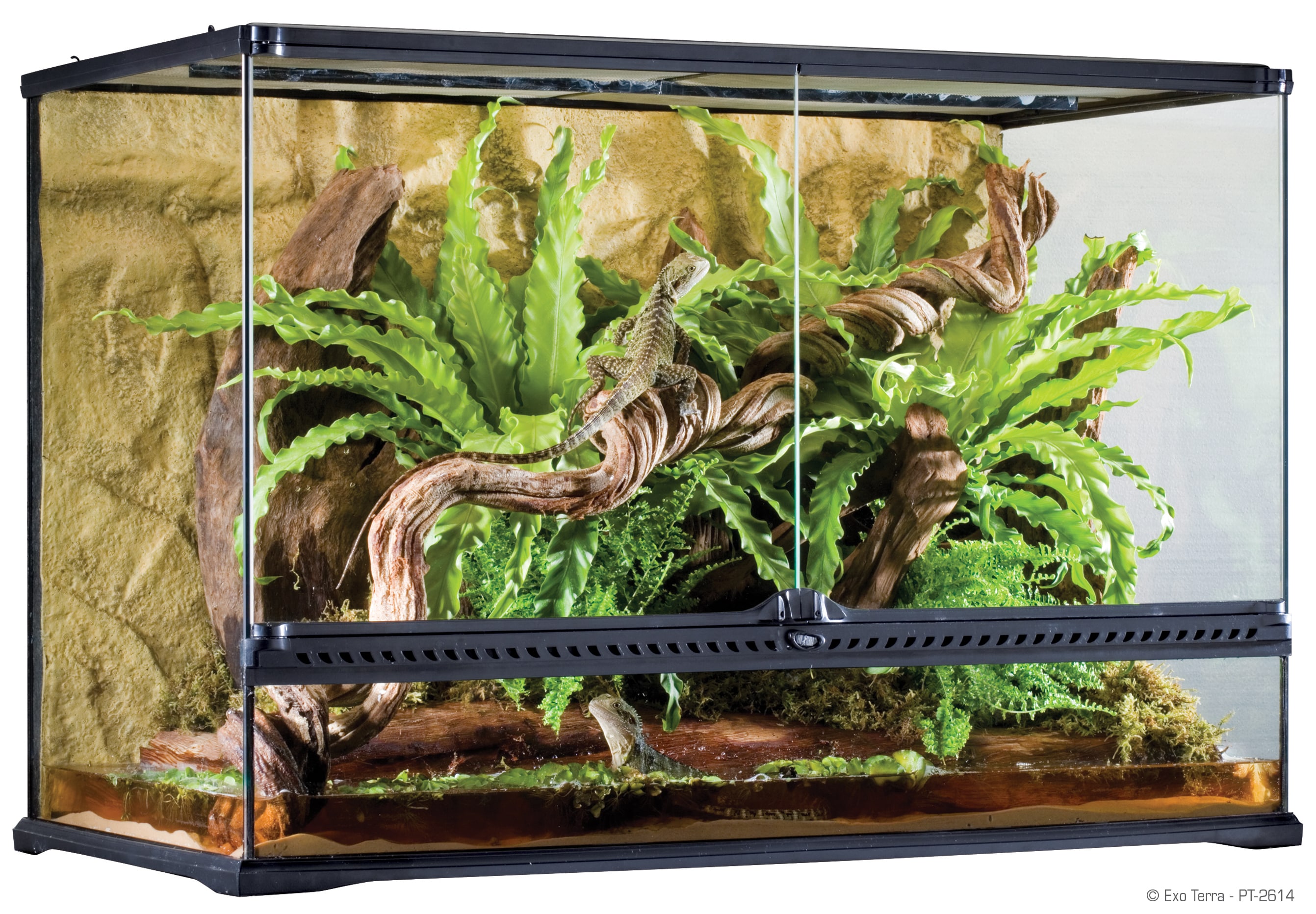 Terrarium ExoTerra 90x45x60cm - 2