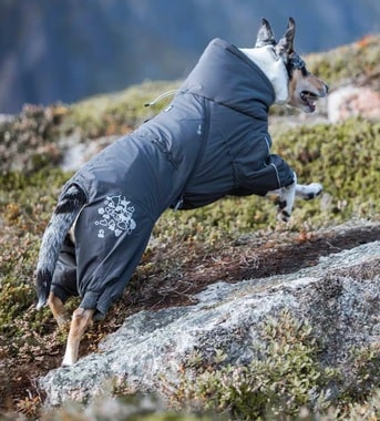 Hurtta Extreme Overall Blackberry