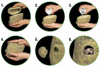 ExoTerra Feeding Rock - 2