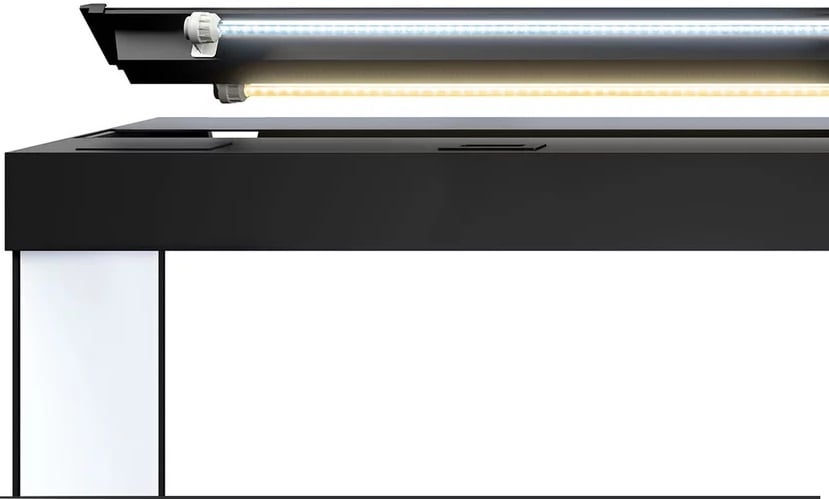 Juwel Rio 180 LED inkl. SBX-bänk Svart