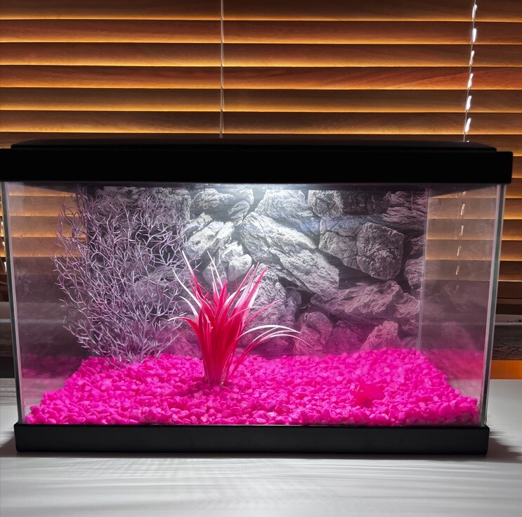 Plastväxt Papyrus 15cm - 2