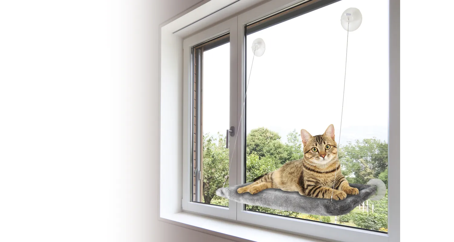 Fönsterhylla med sugkoppar