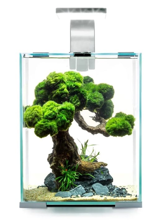 AquaEL Shrimp Set Day&Night 10L Vit