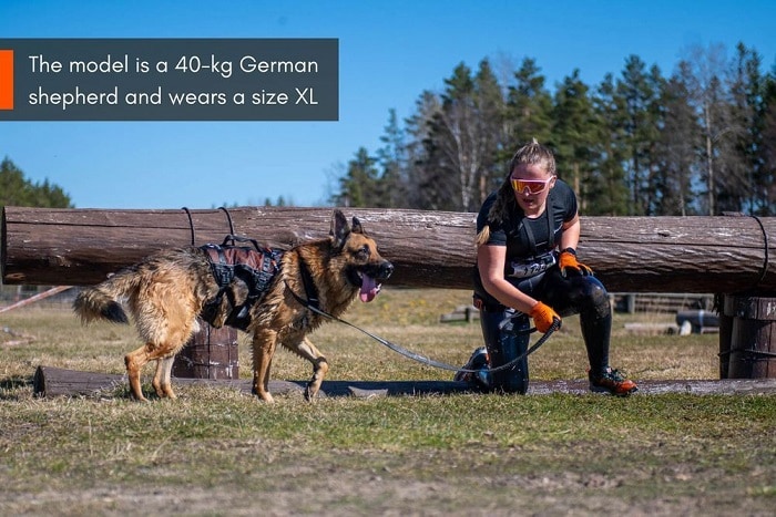 Non-Stop Rock Harness Long, flera storlekar